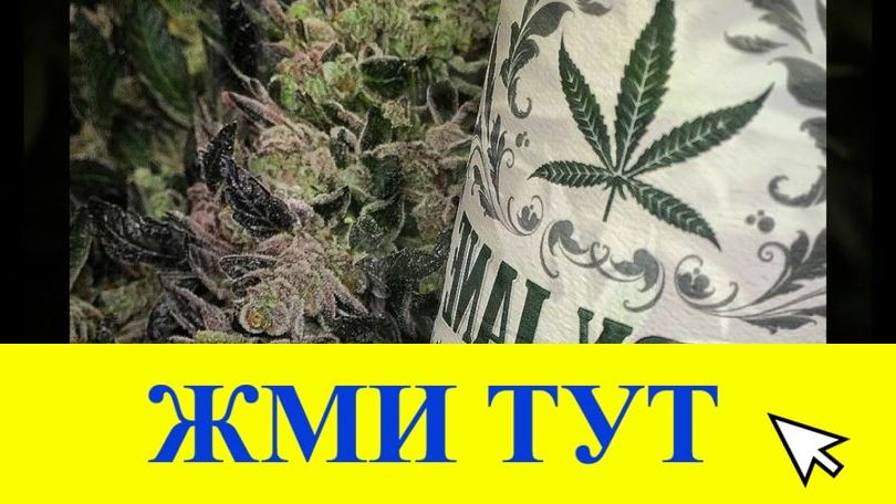 Купить наркотики в Тосно